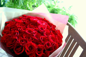 �A�j�o�[�T���[���[�Y�u�[�P