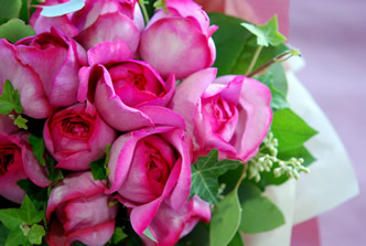 �t���O�����X�u�[�P