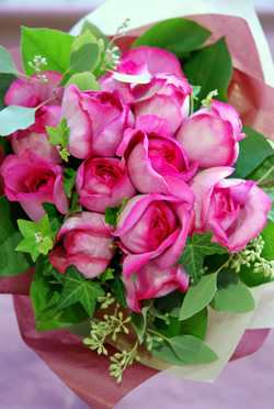 �t���O�����X�u�[�P