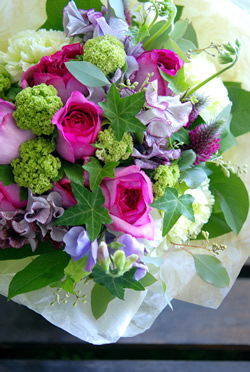 ���E���h�X�^�C���u�[�P