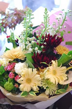 �X�^���_�[�h�u�[�P�X�^�C��