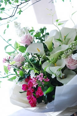 �X�^���_�[�h�u�[�P�X�^�C��